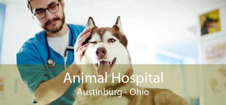 Animal Hospital Austinburg - Ohio