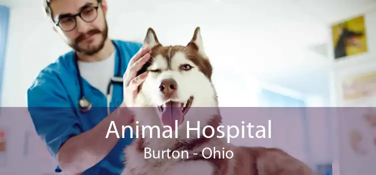 Animal Hospital Burton - Ohio