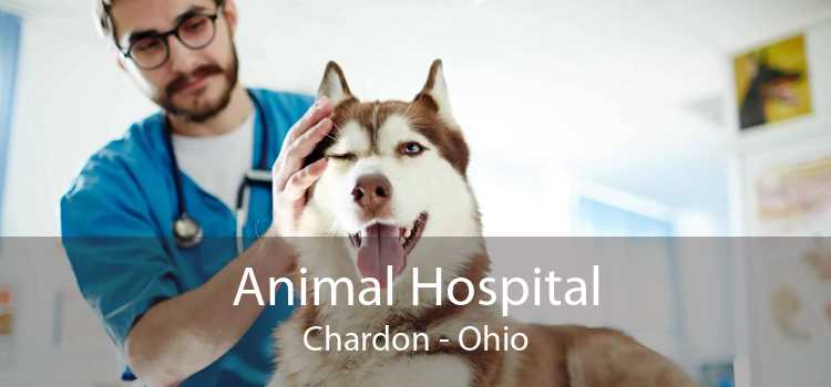 Animal Hospital Chardon - Ohio
