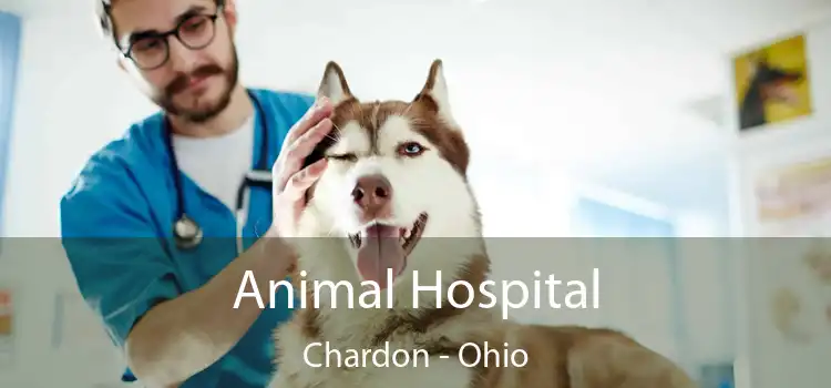 Animal Hospital Chardon - Ohio