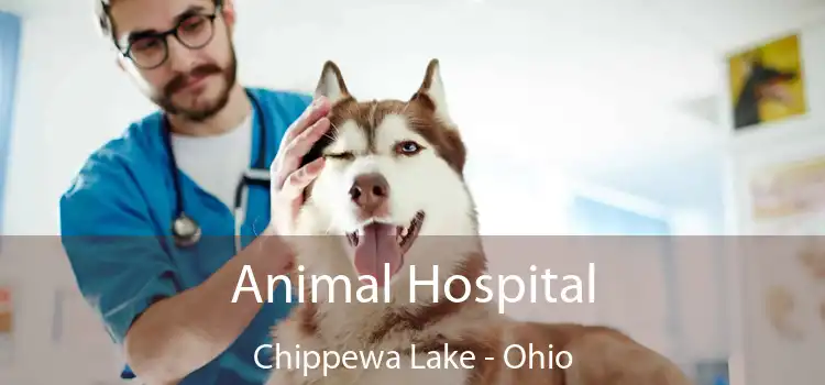 Animal Hospital Chippewa Lake - Ohio