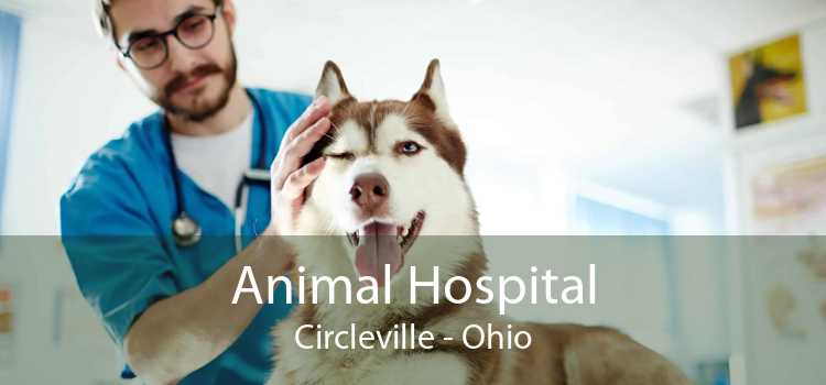 Animal Hospital Circleville - Ohio
