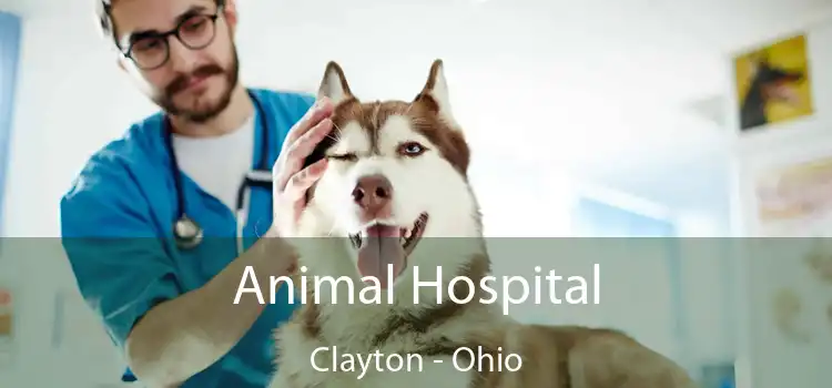 Animal Hospital Clayton - Ohio