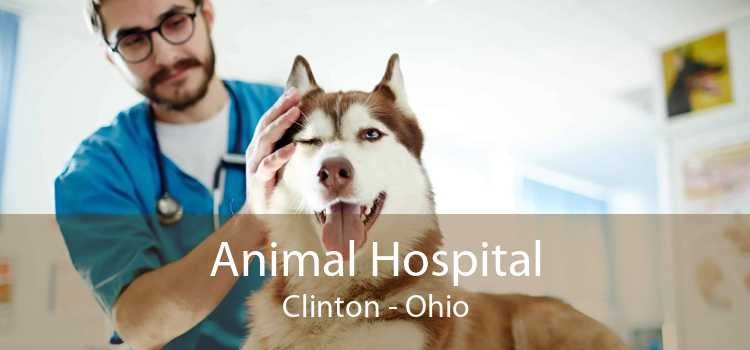 Animal Hospital Clinton - Ohio