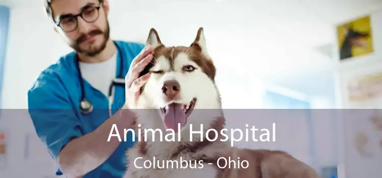 Animal Hospital Columbus - Ohio