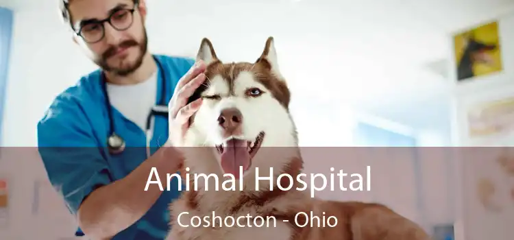 Animal Hospital Coshocton - Ohio
