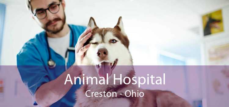 Animal Hospital Creston - Ohio
