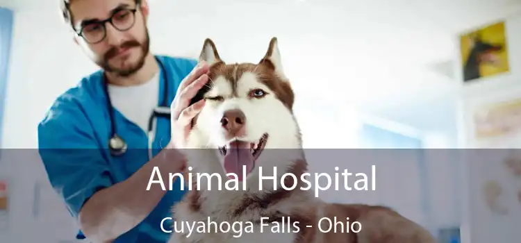 Animal Hospital Cuyahoga Falls - Ohio