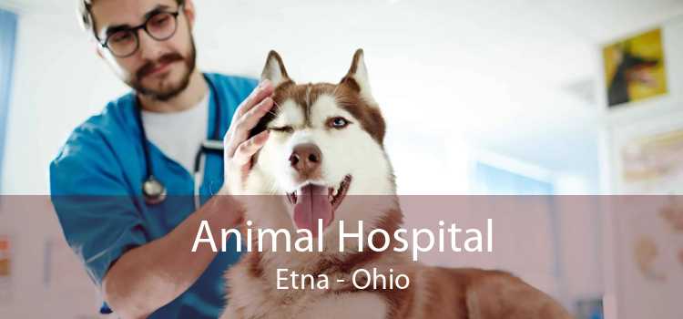 Animal Hospital Etna - Ohio
