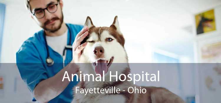 Animal Hospital Fayetteville - Ohio