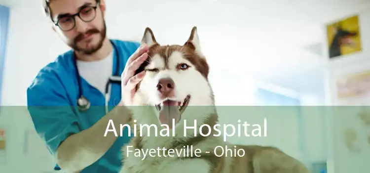 Animal Hospital Fayetteville - Ohio