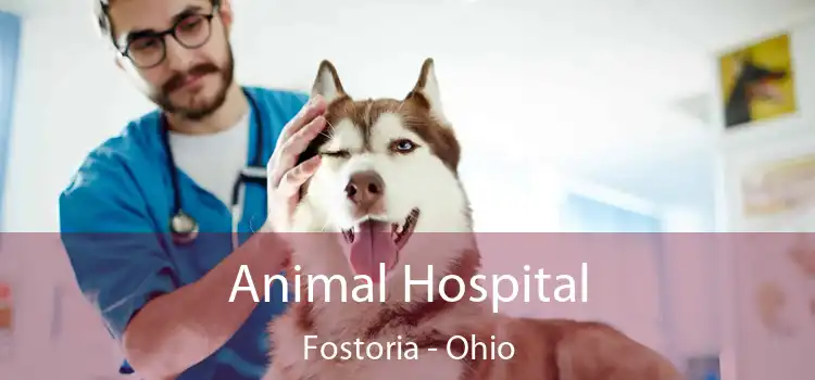 Animal Hospital Fostoria - Ohio