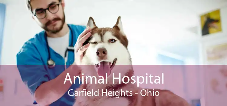 Animal Hospital Garfield Heights - Ohio