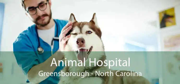 Animal Hospital Greensborough - North Carolina