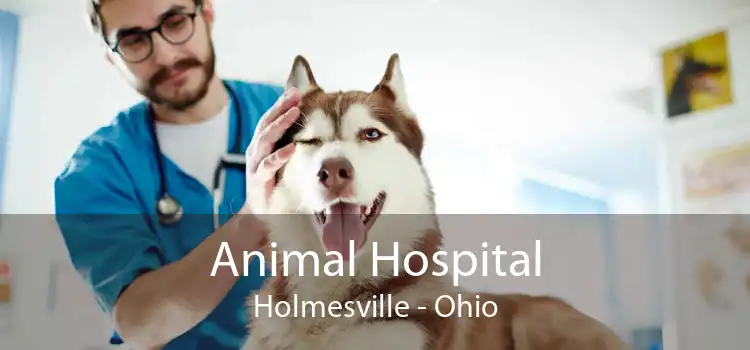 Animal Hospital Holmesville - Ohio