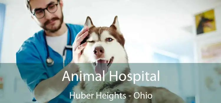 Animal Hospital Huber Heights - Ohio