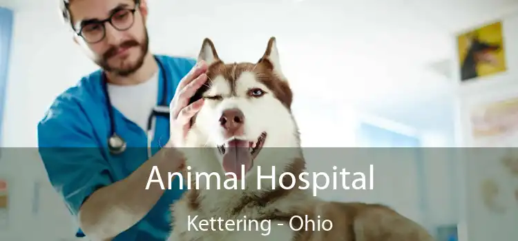 Animal Hospital Kettering - Ohio