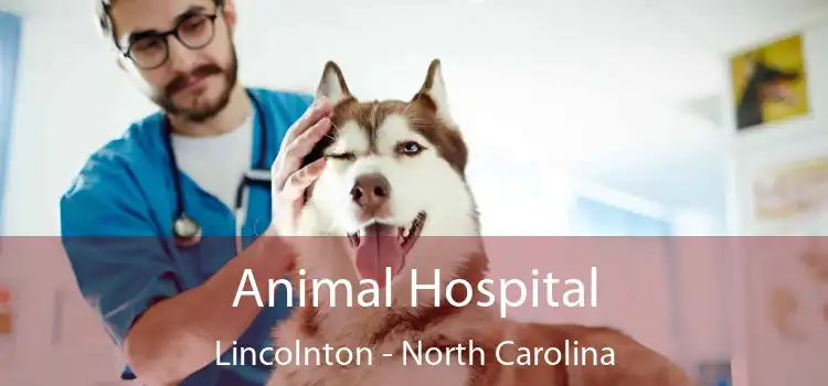 Animal Hospital Lincolnton - North Carolina