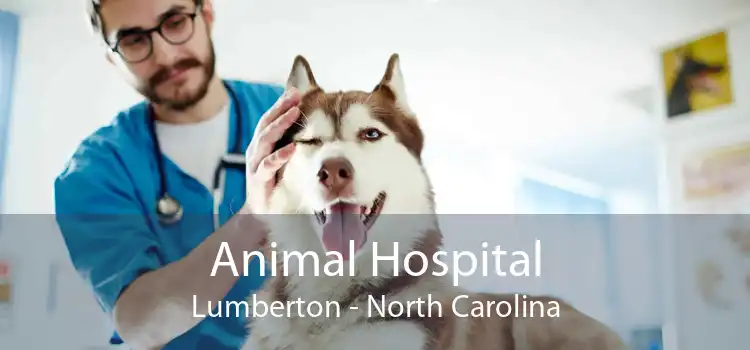 Animal Hospital Lumberton - North Carolina