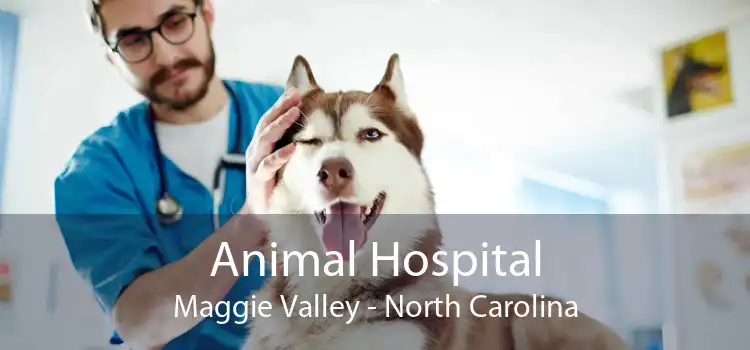 Animal Hospital Maggie Valley - North Carolina