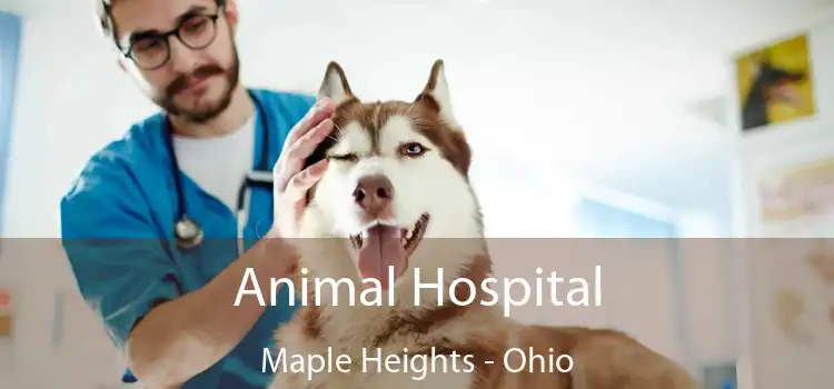 Animal Hospital Maple Heights - Ohio