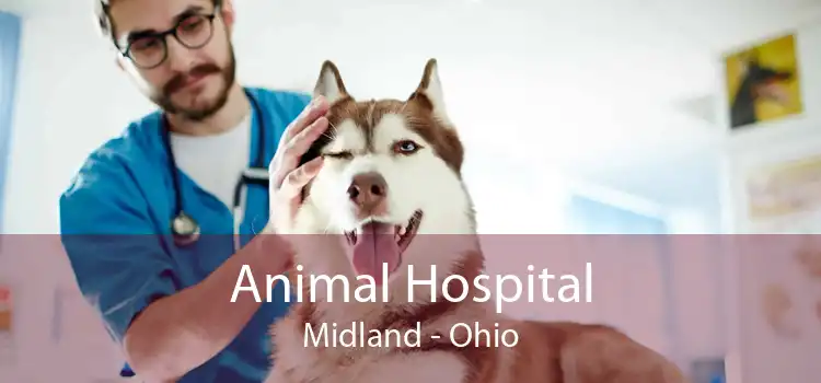 Animal Hospital Midland - Ohio