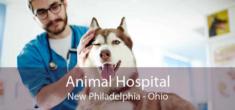 Animal Hospital New Philadelphia - Ohio