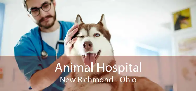 Animal Hospital New Richmond - Ohio