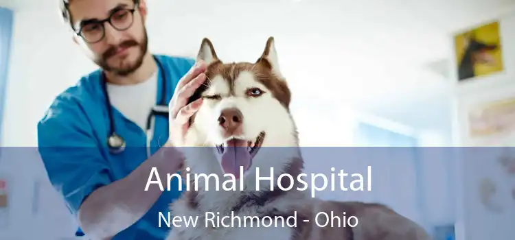 Animal Hospital New Richmond - Ohio