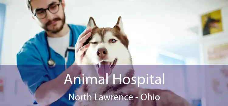 Animal Hospital North Lawrence - Ohio