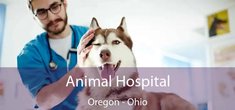 Animal Hospital Oregon - Ohio