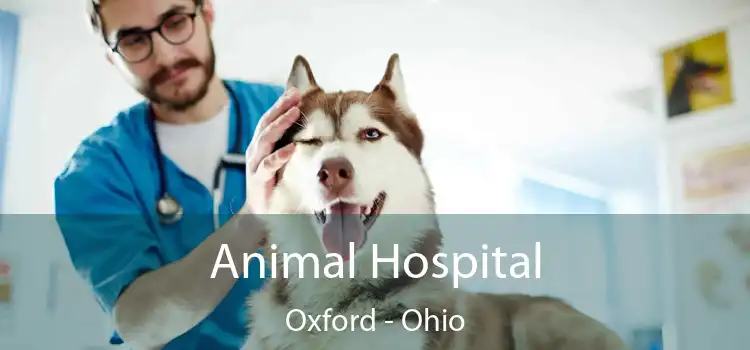 Animal Hospital Oxford - Ohio