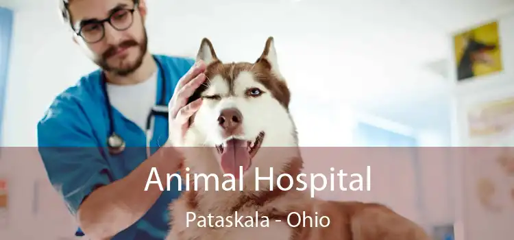 Animal Hospital Pataskala - Ohio