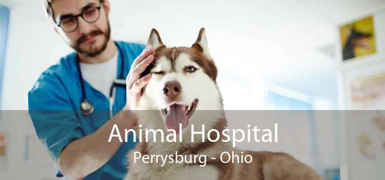 Animal Hospital Perrysburg - Ohio