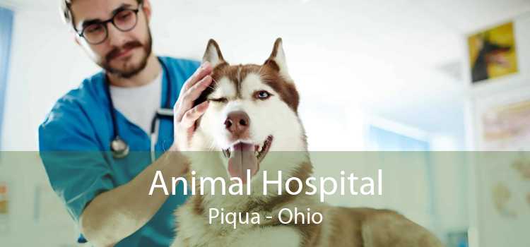 Animal Hospital Piqua - Ohio