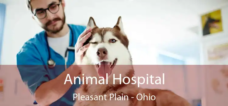 Animal Hospital Pleasant Plain - Ohio