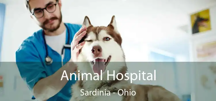Animal Hospital Sardinia - Ohio