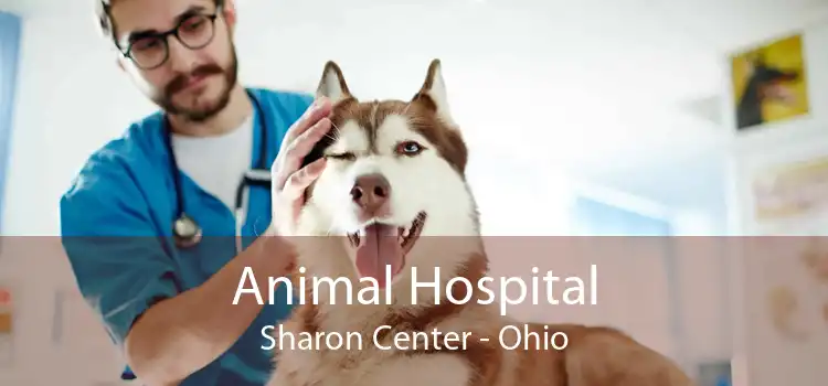 Animal Hospital Sharon Center - Ohio