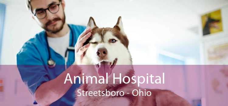 Animal Hospital Streetsboro - Ohio