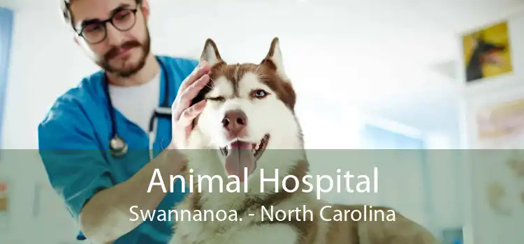 Animal Hospital Swannanoa. - North Carolina