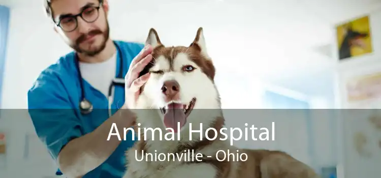 Animal Hospital Unionville - Ohio