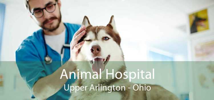 Animal Hospital Upper Arlington - Ohio
