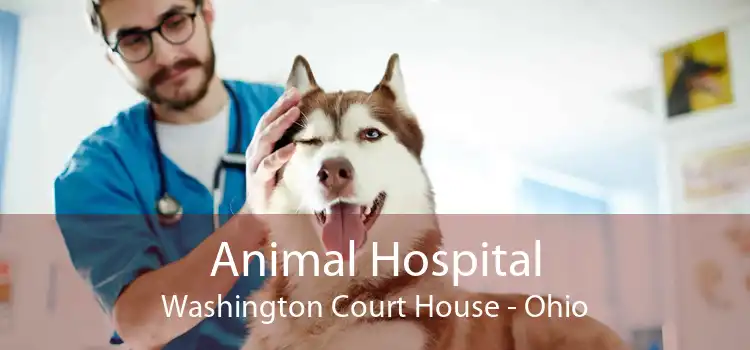 Animal Hospital Washington Court House - Ohio