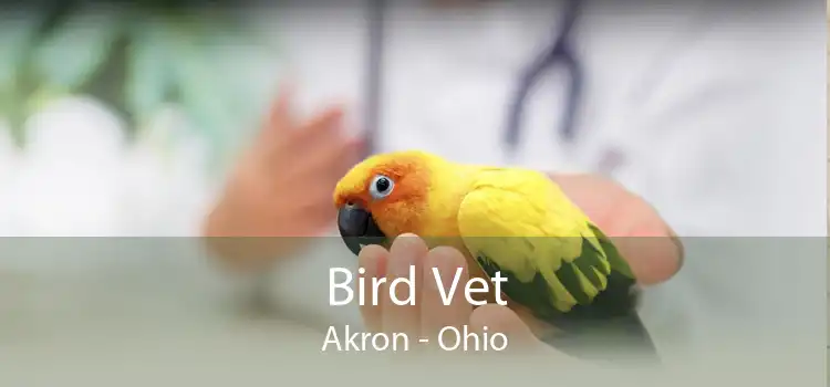 Bird Vet Akron - Ohio