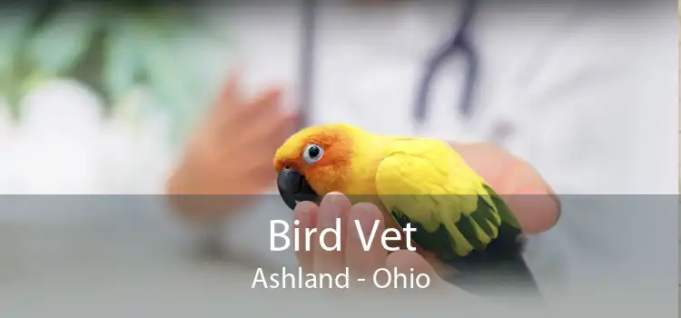 Bird Vet Ashland - Ohio