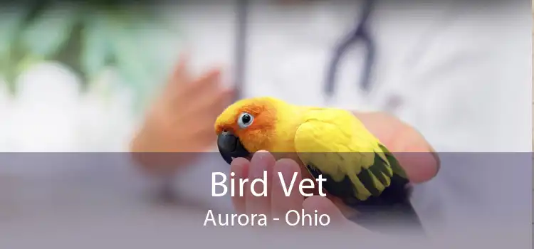 Bird Vet Aurora - Ohio
