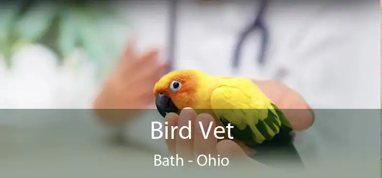 Bird Vet Bath - Ohio