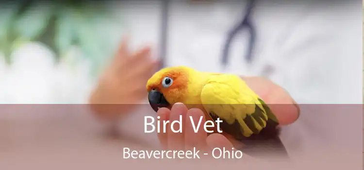 Bird Vet Beavercreek - Ohio