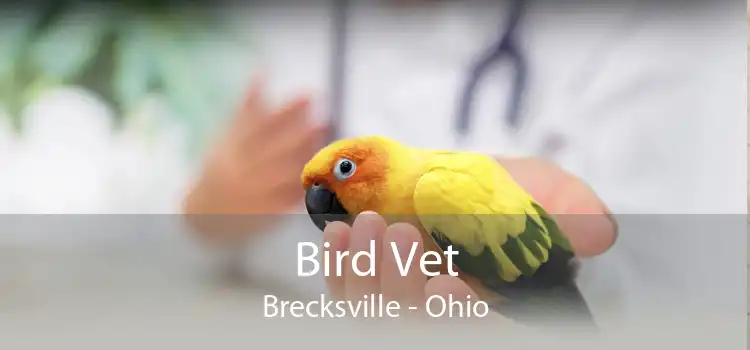 Bird Vet Brecksville - Ohio