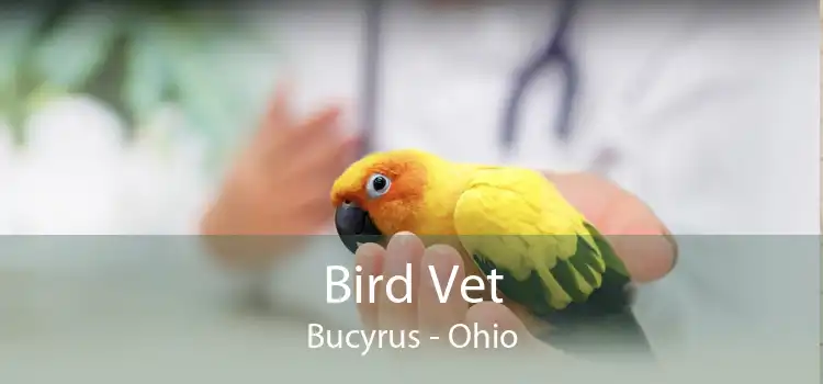 Bird Vet Bucyrus - Ohio